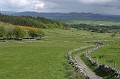  Irlande,pâturages 